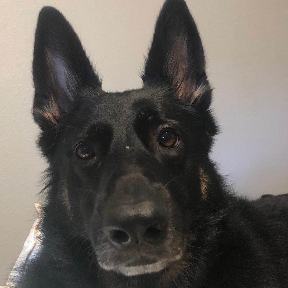 Meet your Posher, Cam